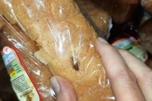 В сетевых супермаркетах Астрахани продают хлеб с тараканами