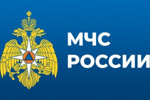 Указом Президента Российской Федерации утверждены кадровые изменения в системе  МЧС России