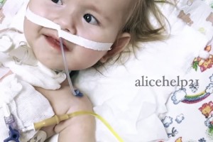 11-месячная астраханка Алиса Кочеткова продолжает бороться за&#160;жизнь