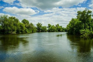 Критически обмелевшую реку Ахтубу в Астраханской области собираются расчистить