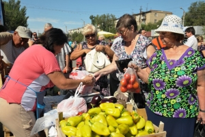 Астраханские дачники и фермеры примут участие во Всероссийской  сельхоз переписи