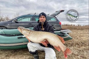 Астраханский рыбак поймал щуку небывалых размеров