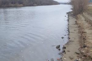 В Астрахани обнаружено маслянистое пятно в&#160;реке Прямая Болда