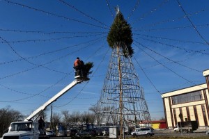 В Астрахани на Мостстрое устанавливают 14-метровую живую ёлку