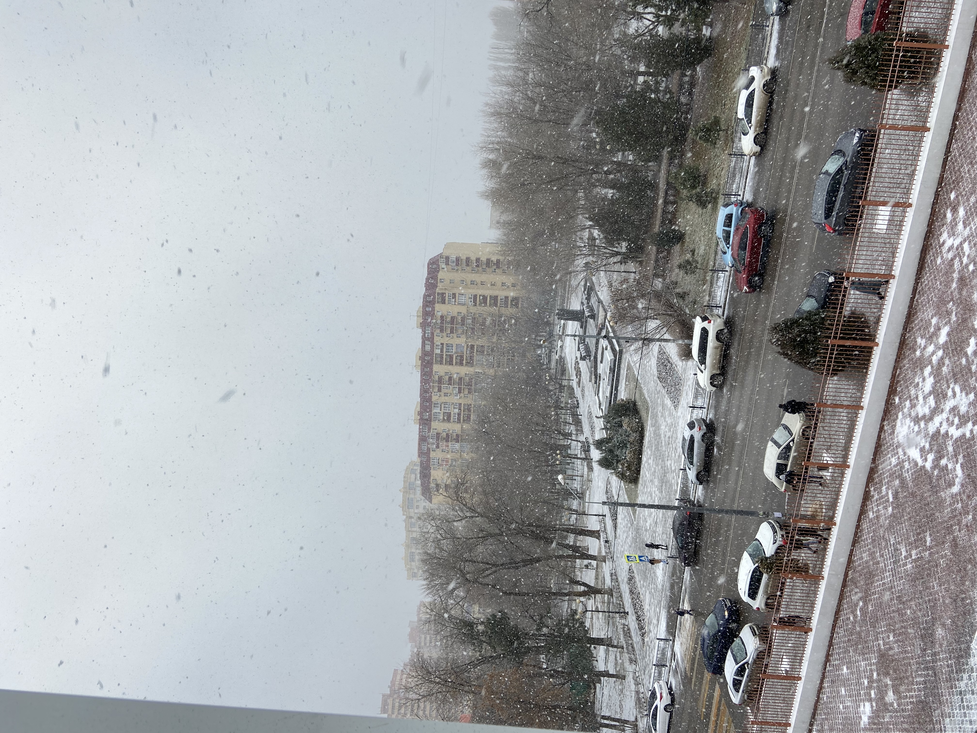 Какая завтра снег. Снегопад в Астрахани 2021. Снег в Астрахани. Астрахань выпал снег. В Астрахани выпал снег 2021 летом.