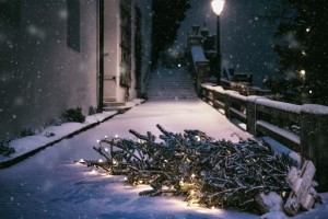 Ночью 29 декабря астраханцам обещают снег