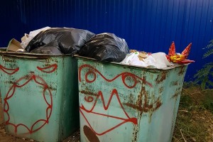 В Астраханской области было выявлено более тысячи нарушений закона об утилизации отходов