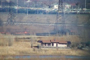 В Ленинском районе Астрахани горит тростник на площади 150 кв. метров