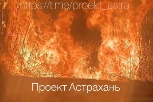 Пожар под Астраханью распространился на территорию заповедника