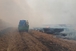Пожар в Астраханском биосферном заповеднике тушили больше суток