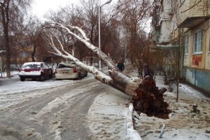 Шквалистый ветер в&#160;Астрахани продолжает валить деревья и&#160;обрывать провода