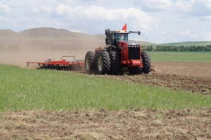 Астраханские фермеры на 85% обеспечены семенами для весенних полевых работ