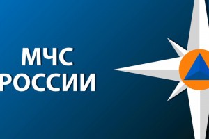 МЧС России доставило около 300 тонн гуманитарной помощи жителям Донбасса