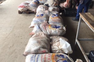 Под Астраханью полицейские изъяли 13 тонн рыбы без документов и&#160;щучью икру