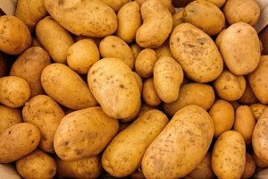 Астраханское предприятие «МАПС» не оставит Россию без картошки