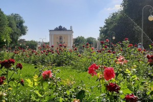 В Астрахани высадят 300 тысяч цветов