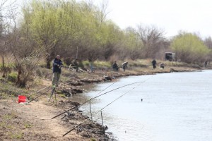 В Астраханской области за две недели выявили 50 преступлений в&#160;сфере рыболовства