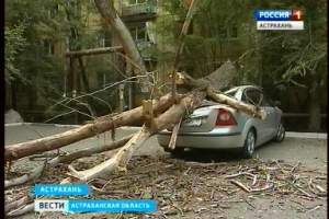 Поломанные билборды, поваленные деревья и сорванные крыши - в Астрахани подводят итоги урагана