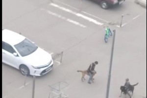 В Астрахани дети оседлали бездомных собак