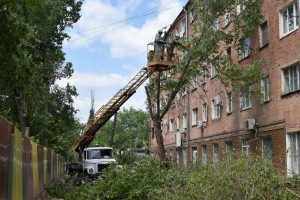 На улице Ляхова в Астрахани провели опиловку аварийных деревьев