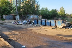 Астраханцы жалуются на мусорные свалки в&#160;черте города