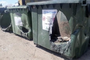 В мае астраханцы украли, утопили и сожгли 15 новых мусорных контейнеров