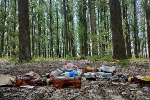 Тополиная роща в&#160;Астрахани завалена мусором