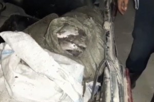 Астраханские полицейские изъяли 100 кг незаконного улова из багажника легковушки