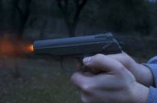 В Астраханской области местный житель подозревается в убийстве знакомого из пневматической винтовки