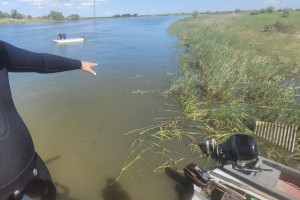 Под Астраханью в реке Подстепка обнаружили тела пропавших детей