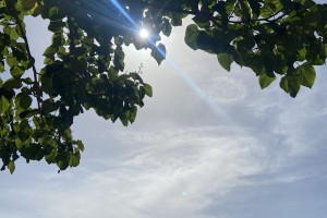 20 июня астраханцев ждет солнечная погода