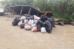 В преддверии открытия купального сезона Городской остров очистили от мусора