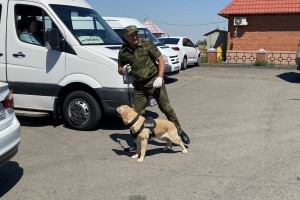 В Астраханской таможне рассказали, по какому принципу служебные собаки находят запрещенные вещества
