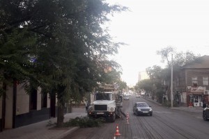 В Астрахани спиливают аварийные деревья вдоль дорог