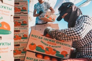 В Астраханской области соберут более 100 тысяч тонн перца и 690 тысяч тонн томатов
