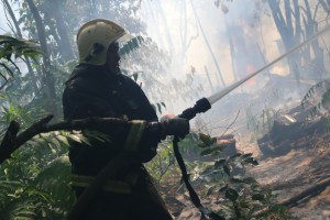 В Астраханской области пожарные 1,5 часа тушили горящий дом