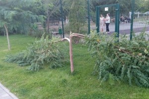 В Астрахани парк на улице Татищева снова пострадал от вандалов