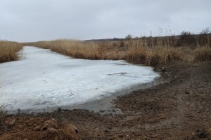 В Астраханской области ради спасения пересчитают подстепные ильмени в дельте Волги