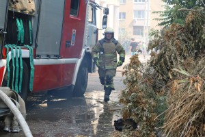 В Астрахани сгорели два евроконтейнера с&#160;мусором и&#160;поле сухой растительности