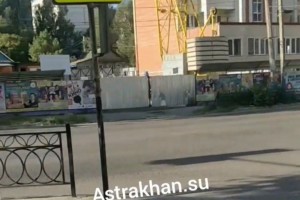 Астраханцы просят вернуть нужный переход на улице Софьи Перовской