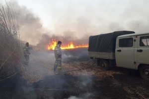 В Астраханской области горит биосферный заповедник