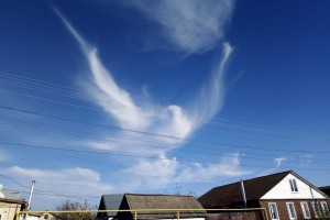 Астраханцы обсуждают появление «Голубя мира» в небе