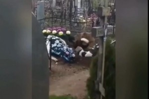 Соцсети: в Астрахани бездомные собаки разорили свежую могилу на кладбище