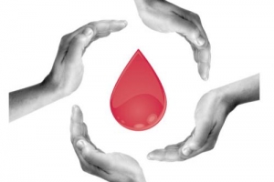 В Астрахани открывается региональный ресурсный центр в сфере донорства крови и пропаганды здорового образа жизни