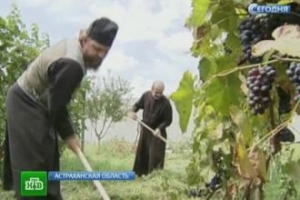 Астраханские монахи начали производство собственной молочной продукции
