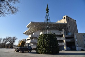 В Астрахани начали собирать главную городскую ёлку