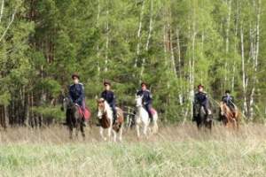 В Астраханской области казачьи патрули помогут решить проблему краж урожая