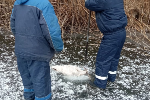В Астрахани подо льдом обнаружили тело женщины