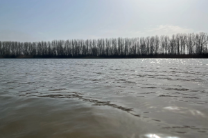 В Астраханской области восстанавливают водные объекты Волго-Ахтубинской поймы