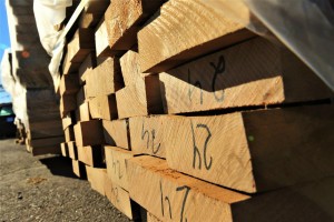 В Казахстан через Астраханскую область хотели провезти древесину ценных лесных пород